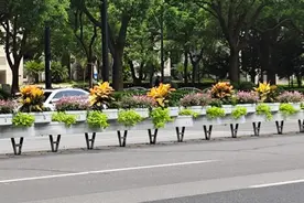 高温导致陆家嘴地区道路出现裂缝？记者实地走访……图片