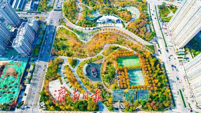 一年四季 泉在济南丨落叶铺锦景如画 济南望岳康体公园初冬限定美景上线