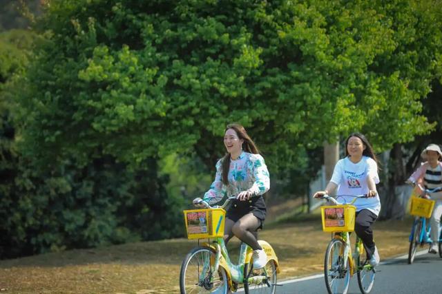 这份松山湖N日游玩法，让我连跑3年松马都不想停→