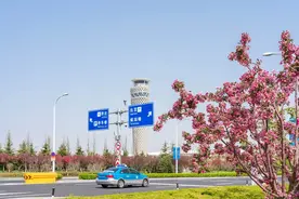 青岛机场全力护航清明假期旅客出行，单日旅客量预计突破7万人次图片