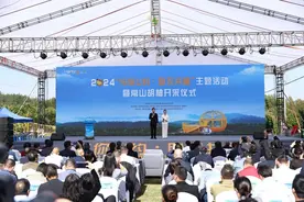 “柚”见丰收，常山胡柚采摘正当时图片