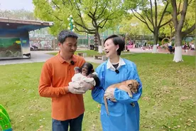 春日“慢”步丨春“趣”上野 生命初绽放图片