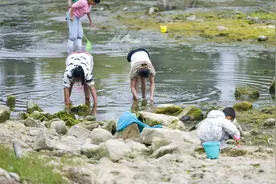 假期开启郊外河道摸鱼季 体验“赶海”别样乐趣 | “泉”在济南享金秋图片