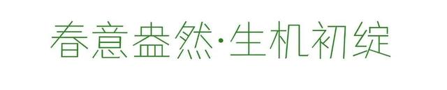 四季流转，青浦这座公园的颜值从来不掉线！