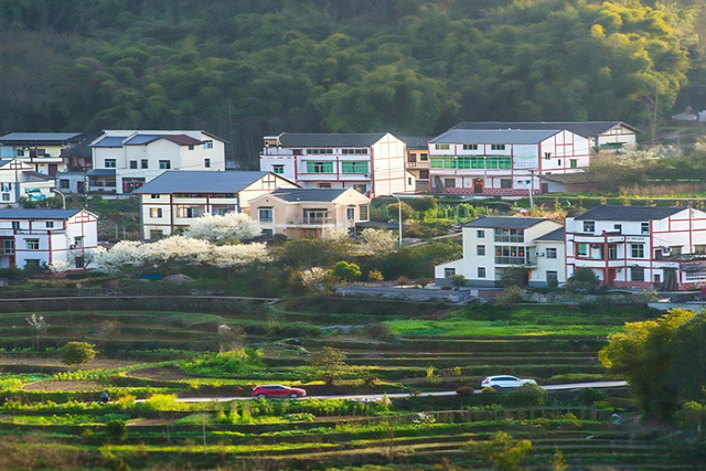 央媒市媒看綦江 | 丹霞旁，听见一座小镇的呼吸