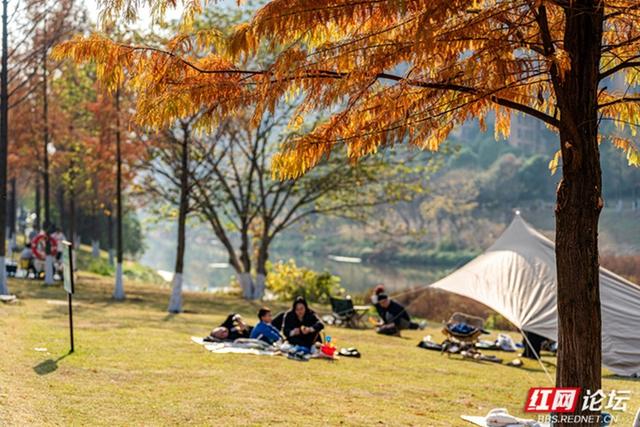 穿过林影与水光，走进长沙圭塘河的暖冬图景
