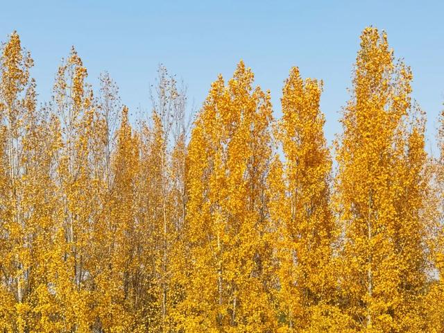 河堤秘境，藏着季节交替的温柔浪漫→