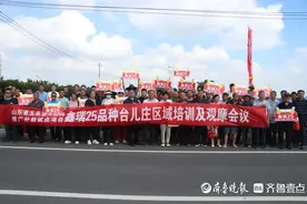 丰收“密码”|台儿庄区召开鑫瑞25玉米品种培训及观摩大会图片