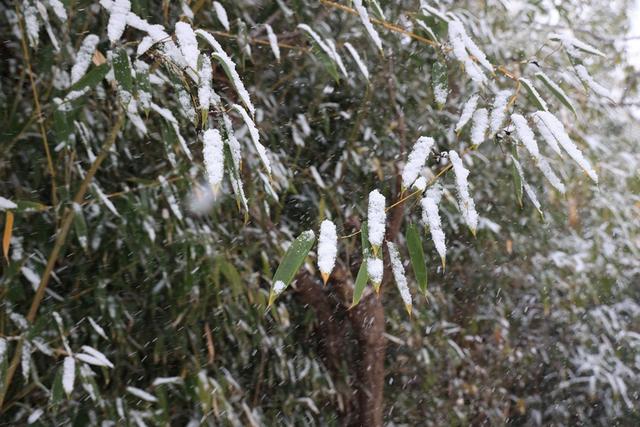 雪海浪漫！冬日威海邀您一起“画中游”
