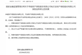 申能财险获批受让天安财险保险业务  业务范围增加特殊风险保险、信用保险和保证保险图片