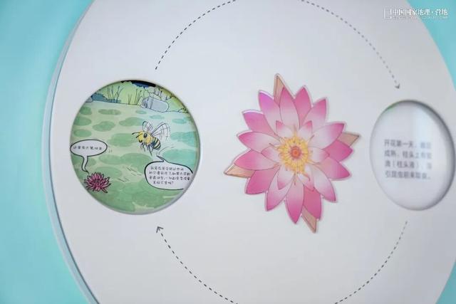 阳山自然驿站矩阵落成，全域科学体验线路启用