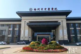 共建绿美广东！广州中医药大学梅州医院提升绿化环境，持续改善就医舒适度图片