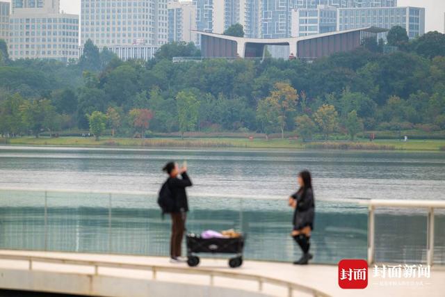 赏秋不跑远 成都多个城区公园也能看红叶｜图集