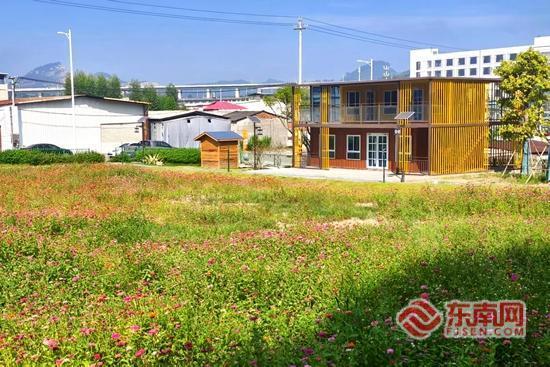 漳州台商区农耕文化园 勾勒城市“田园牧歌”