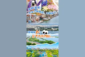 全龄皆宜！来这儿旅居后，不想走了！昆明有N个留下你的理由……图片