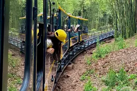 成都一景区五一正式开行“竹海列车”，单程约20分钟票价暂未定图片