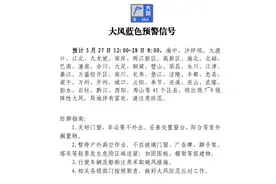 重庆发布大风蓝色预警！41个区县将出现7~9级阵性大风，局地伴有雷电图片
