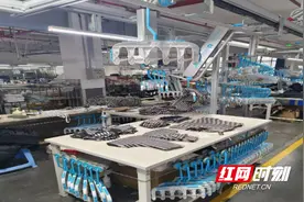 占据全省三分之一！长沙高新区麓谷产业园两家企业强势入选图片