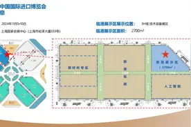 占地2700平方米，近70家外企将在进博会集中展示优质产品图片