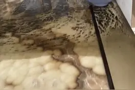 顶级公寓物业费之争：业主称每月上万元但服务匹配不上 物业曾向部分拒交费业主提起仲裁图片