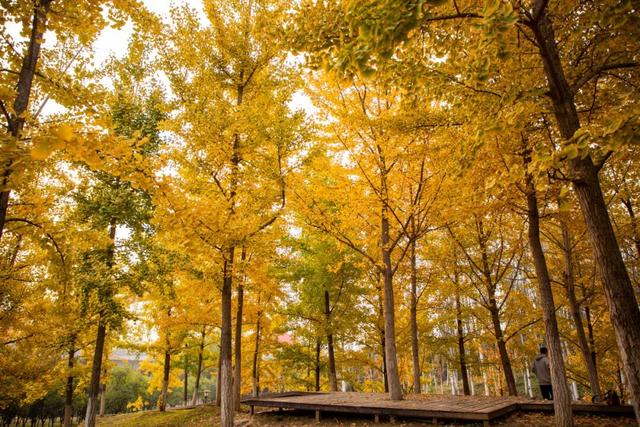这里藏着最治愈的周末时光！