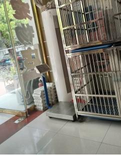 宠物消费调查！附避“坑”指南→