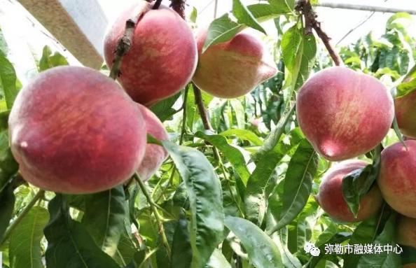 弥勒这里值得一去！好吃、好玩、好看…