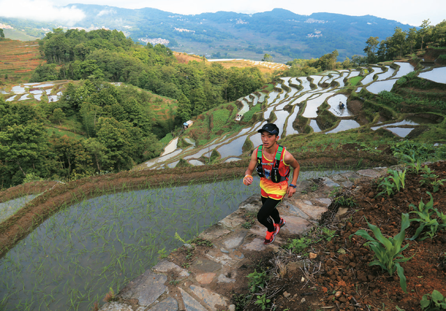 从远方而来，在暖阳里奔跑