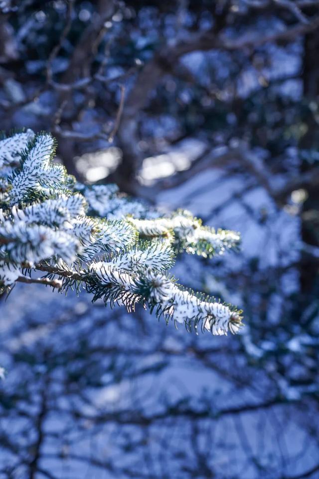 雪落大理苍山，有着道不尽的浪漫