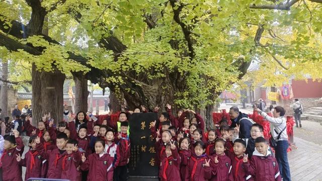 赵立坚微博打call日照银杏古树！附高清大图+进阶玩法！