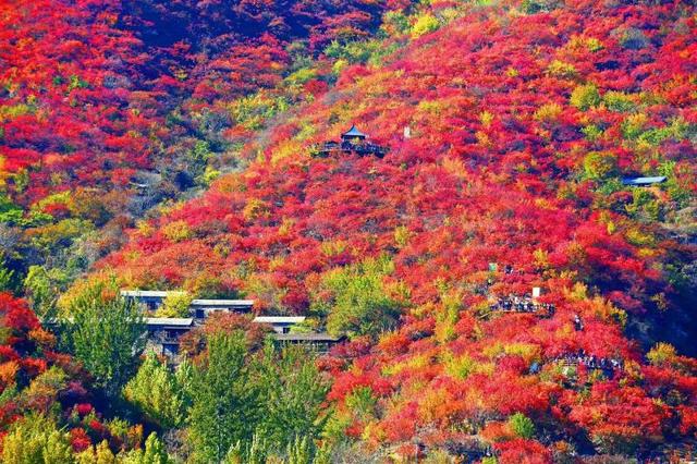 直通区两会丨房山区大力推动生态文旅深度融合