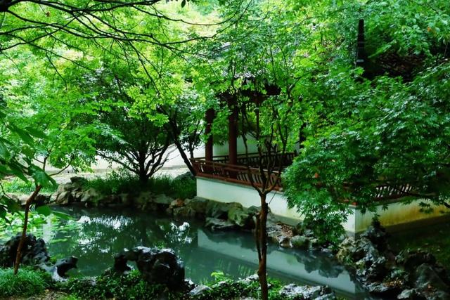 一步一景皆诗意！南京这座公园处处有中式美学