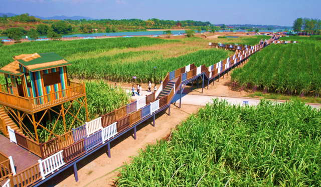 人文乡村！衢江这3个村入选省级名单