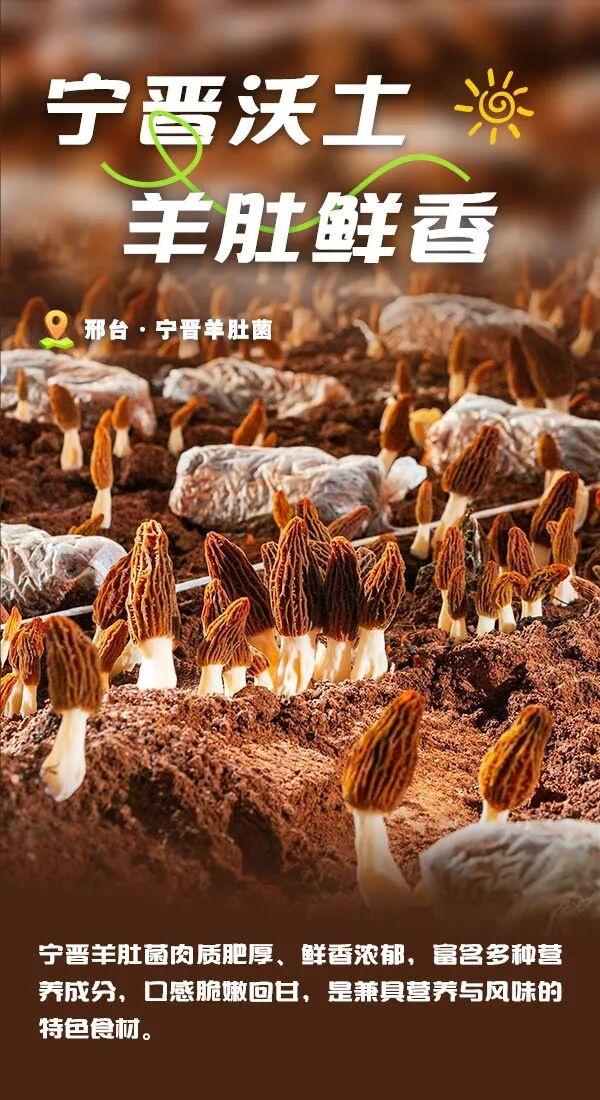 被邢台圈粉了！每一口都是自然的馈赠