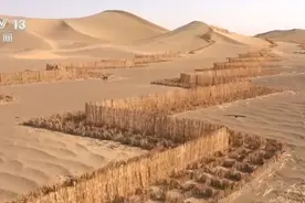 兼具治理与发展！防沙治沙新奇迹接续不绝 “锁”沙逐绿拓宽“绿色防线”图片