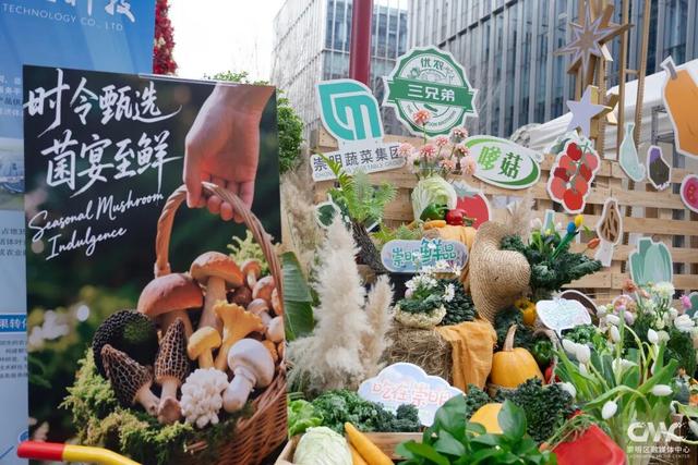 崇明文旅推介嘉年华亮相浦东前滩，诚邀市民来崇过年！