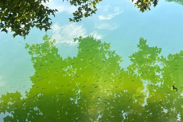 山水围城，在“天然盆景”体验江西式浪漫！