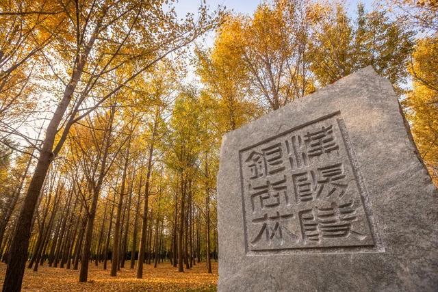 西北转机第一城，好吃是最不值一提的优点