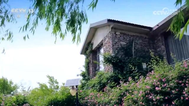 焦点访谈｜美丽中国就在你我身边 “公园+”模式让城市空间更有活力