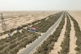 沙漠公路里的“别样浪漫”图片