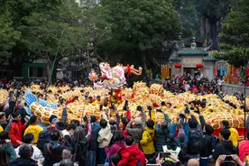 澳门：龙腾舞跃贺新春图片