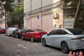 这些小区可免费停车，有望全市推广！图片