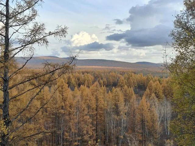 全网一致认定：最短的秋天，才是最贵的奢侈品