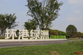 成都看飞机打卡点+1！环港绿洲二期正式开放图片