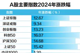 2024年A股正式收官：沪指全年涨超12%，94股翻倍，这些板块大涨（附名单）图片