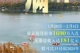 数据观│这个春节，南京热力值“拉满”图片