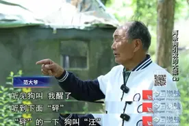 深夜两声枪响，两条狗被射杀……警方破获特大部督涉枪涉猎系列案件图片