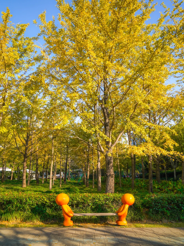 地铁直达！上海这个免费公园化身金色世界→
