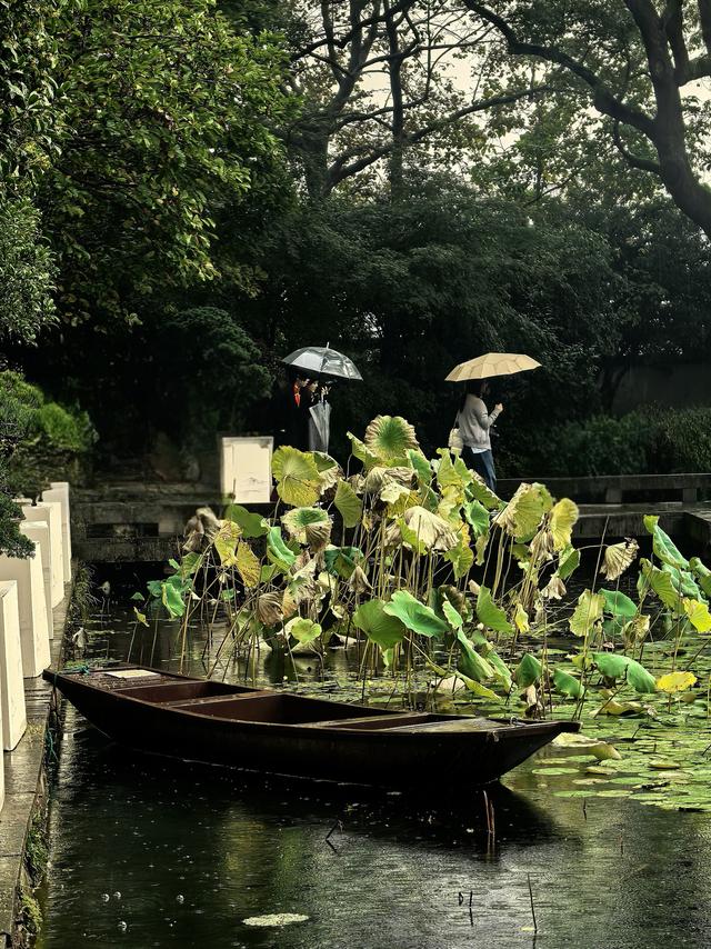 晚潮｜郭庄听雨