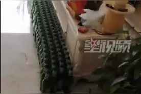 客人住9天留下358个空酒瓶，民宿老板娘进房间被眼前一幕惊呆：“看看壮观不壮观！”图片